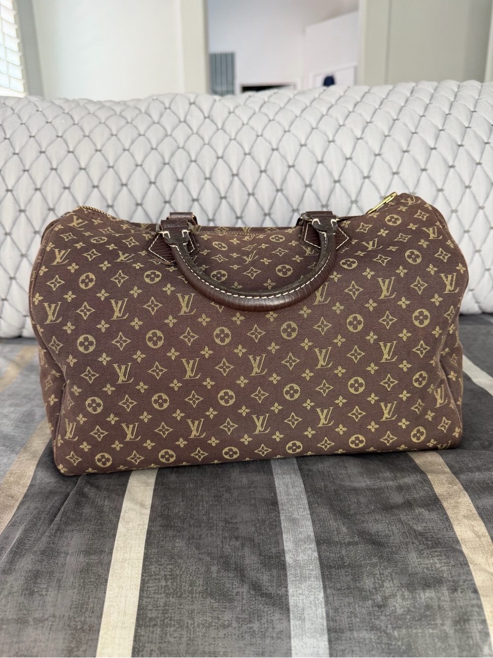 Louis Vuitton Brown Mini Lin speedy 30